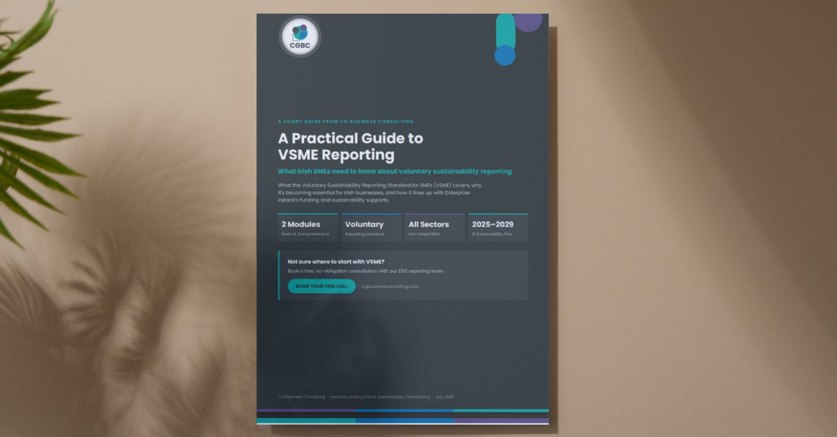 A Practical Guide to VSME reporting Thumbnail