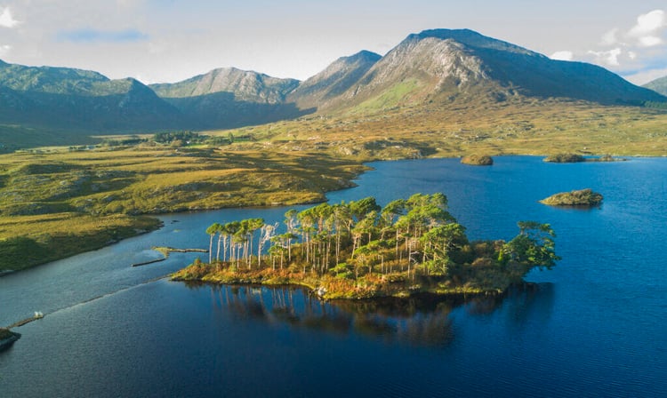 World Environment Day - Ireland