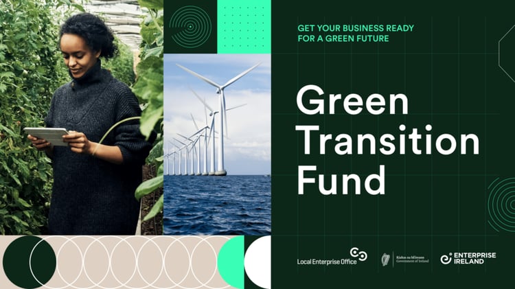 Enterprise Ireland Grants