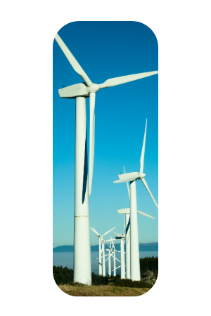Sustainability 3
