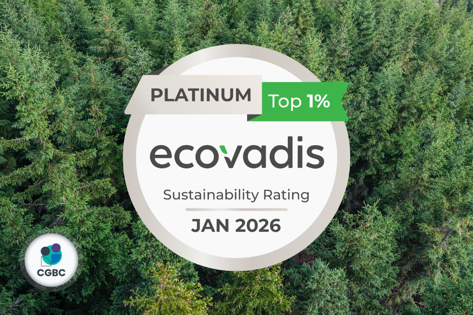Why Smart Companies Are Linking ISO Certification to Their EcoVadis Score